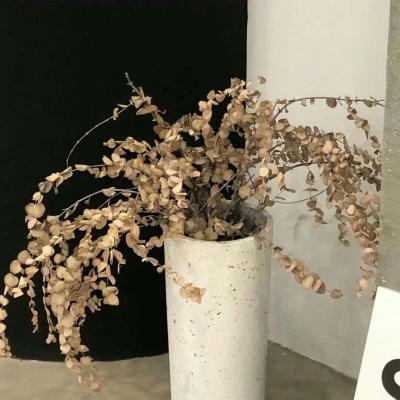 兽设黄昏场景创作福瑞群